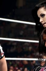 AJ LEE vs PAIGE - Divas Championship Match at WWE Summerslam in Los Angeles