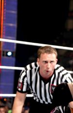 AJ LEE vs PAIGE - Divas Championship Match at WWE Summerslam in Los Angeles