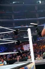 AJ LEE vs PAIGE - Divas Championship Match at WWE Summerslam in Los Angeles