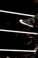AJ LEE vs PAIGE - Divas Championship Match at WWE Summerslam in Los Angeles