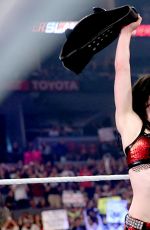 AJ LEE vs PAIGE - Divas Championship Match at WWE Summerslam in Los Angeles