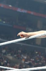 AJ LEE vs PAIGE - Divas Championship Match at WWE Summerslam in Los Angeles