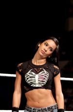 AJ LEE vs PAIGE - Divas Championship Match at WWE Summerslam in Los Angeles