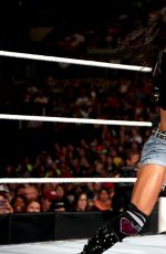 AJ LEE vs PAIGE - Divas Championship Match at WWE Summerslam in Los Angeles