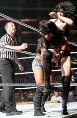 AJ LEE vs PAIGE - Divas Championship Match at WWE Summerslam in Los Angeles