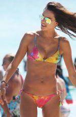 ALESSANDRA AMBROSIO in Bikini at a Beach in Hawaii
