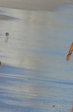 ALESSANDRA AMBROSIO in Bikini at a Beach in Los Angeles