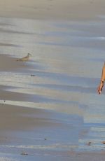 ALESSANDRA AMBROSIO in Bikini at a Beach in Los Angeles