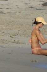 ALESSANDRA AMBROSIO in Bikini at a Beach in Los Angeles