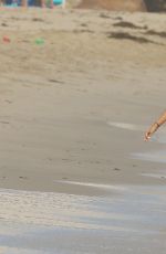 ALESSANDRA AMBROSIO in Bikini at a Beach in Los Angeles