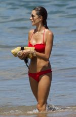 ALESSANDRA AMBROSIO in Bikini on the Beach in Hawaii 1308