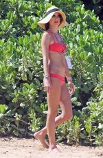 ALESSANDRA AMBROSIO in Bikini on the Beach in Hawaii 1308