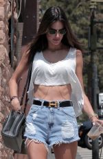 ALESSANDRA AMBROSIO Leaves Planet Blue in Brentwood