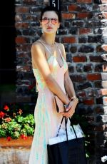 ALESSANDRA AMBROSIO Out and About in Brentwood Country