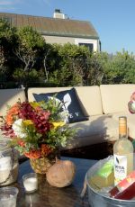 BROOKE BURKE at Vitafrute Cocktails by Veev Coconut Colada Launch in Malibu