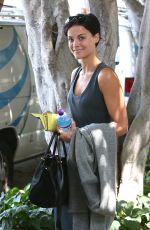 JAIMIE ALEXANDER Out and About in Los Angeles