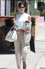 JAIMIE ALEXANDER Out Shopping in Studio City