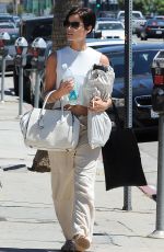 JAIMIE ALEXANDER Out Shopping in Studio City