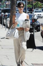 JAIMIE ALEXANDER Out Shopping in Studio City