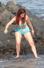 JILLIAN ROSE REED in Bikini at a Beach in Hawaii