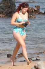 JILLIAN ROSE REED in Bikini at a Beach in Hawaii