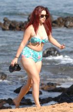 JILLIAN ROSE REED in Bikini at a Beach in Hawaii