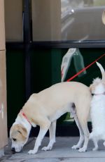 KALEY CUOCO Leaves a Vet in Los Angeles