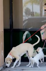 KALEY CUOCO Leaves a Vet in Los Angeles