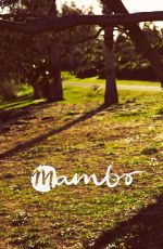 NINA AGDAL - Mambo Swimwear, Summer 2014 Collection