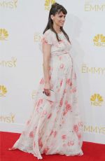 Pregnant AMANDA PEET at 2014 Emmy Awards