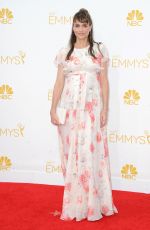 Pregnant AMANDA PEET at 2014 Emmy Awards