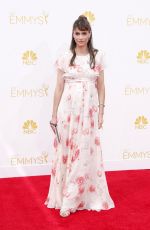Pregnant AMANDA PEET at 2014 Emmy Awards