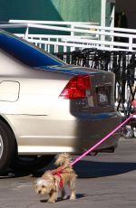 VANESSA HUDGENS Walking Her Dog Out in Studio City