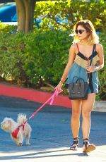VANESSA HUDGENS Walking Her Dog Out in Studio City