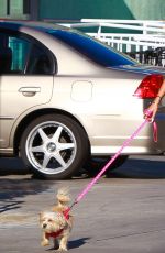 VANESSA HUDGENS Walking Her Dog Out in Studio City