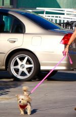 VANESSA HUDGENS Walking Her Dog Out in Studio City