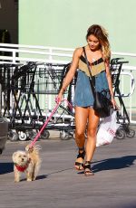VANESSA HUDGENS Walking Her Dog Out in Studio City