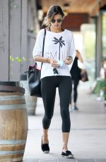 ALESSANDRA AMBROSIO Heading to a Gym in Brentwood