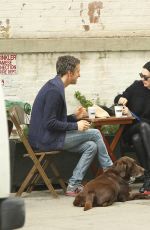 ANNE HATHAWAY Walks Her Dogs Out in New York