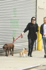 ANNE HATHAWAY Walks Her Dogs Out in New York