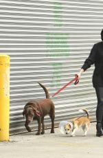 ANNE HATHAWAY Walks Her Dogs Out in New York