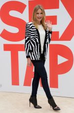 CAMERON DIAZ at S.x Tape Photocall at Hotel Bristol