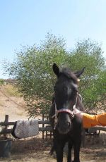 DAKOTA JOHNSON at Equestrian Center of Pantelleria in Italy