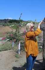 DAKOTA JOHNSON at Equestrian Center of Pantelleria in Italy