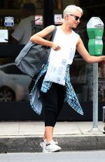 DIANNA AGRON Out in West Hollywood 2009
