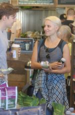 DIANNA AGRON Shopping at a Supermarket in Los Angeles
