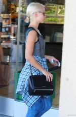 DIANNA AGRON Shopping at a Supermarket in Los Angeles