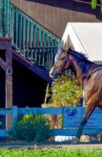 KALEY CUOCO Riding Her Horse in Simi Valley 0509
