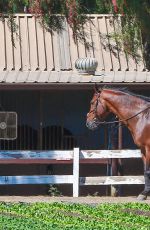 KALEY CUOCO Riding Her Horse in Simi Valley 0509