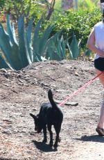 KRISTEN STEWART in Shorts Out Hiking in Malibu